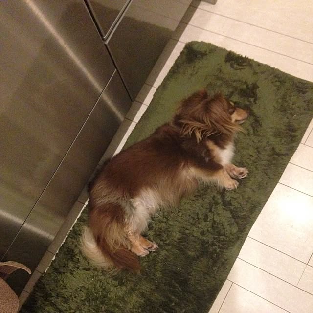 rikakoさんの実例写真