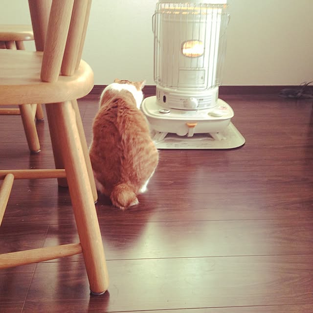 0228さんの実例写真