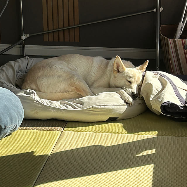 tanboさんの部屋