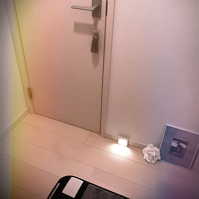 玄関/入り口のインテリア実例 - 2018-09-15 09:54:29
