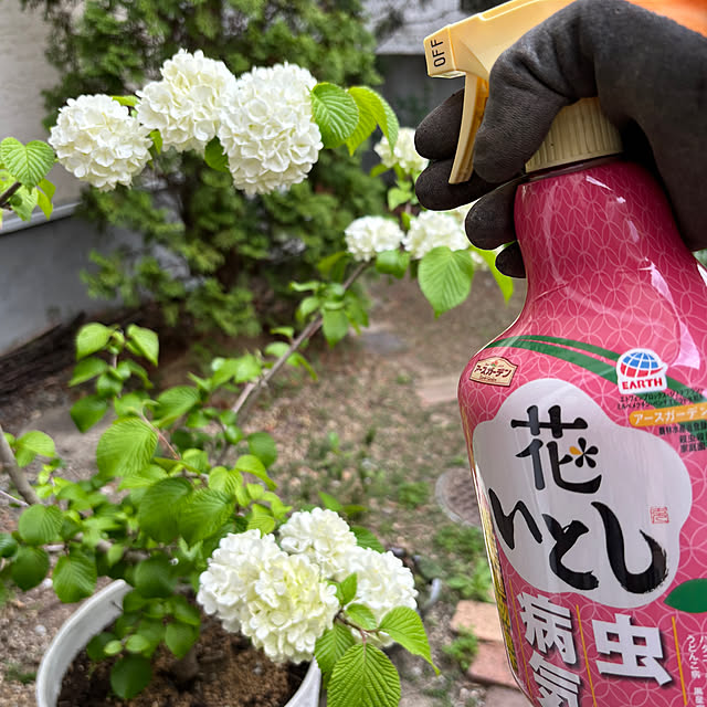 kakamiさんの部屋