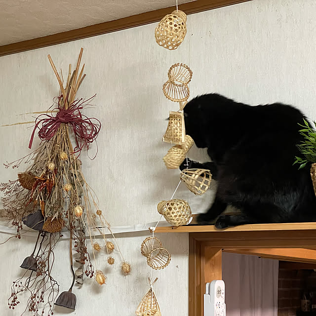 kami_haさんの実例写真