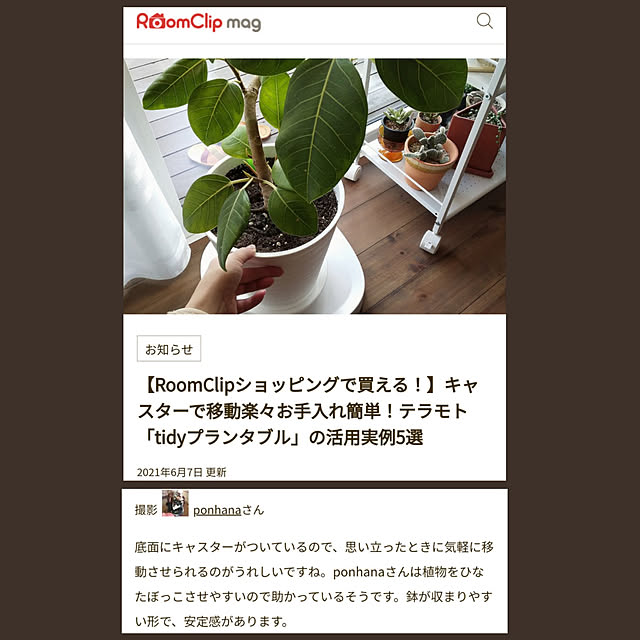 実例写真