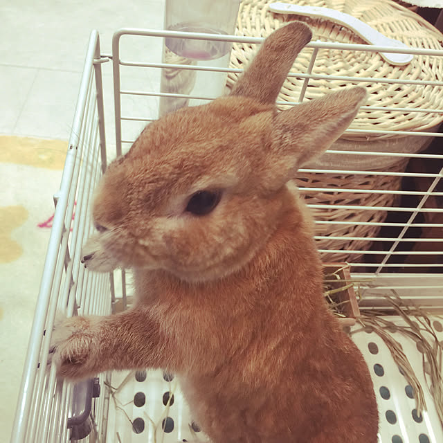 Yasuyukiさんの実例写真