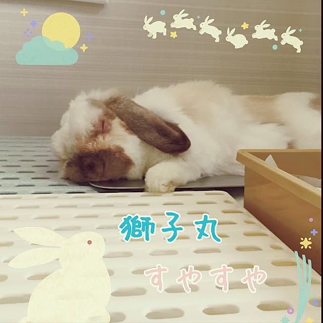 FUさんの実例写真