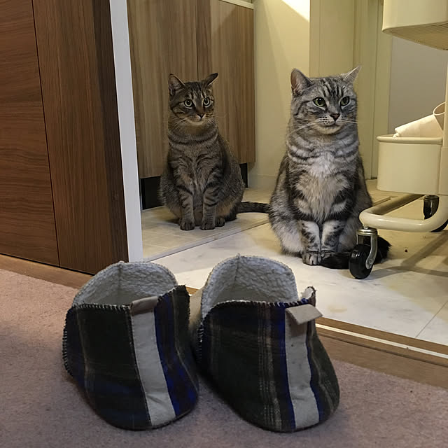 mikomaruさんの実例写真