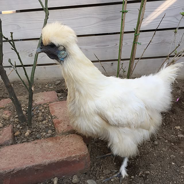 unataroさんの実例写真
