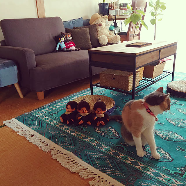 fukuさんの実例写真