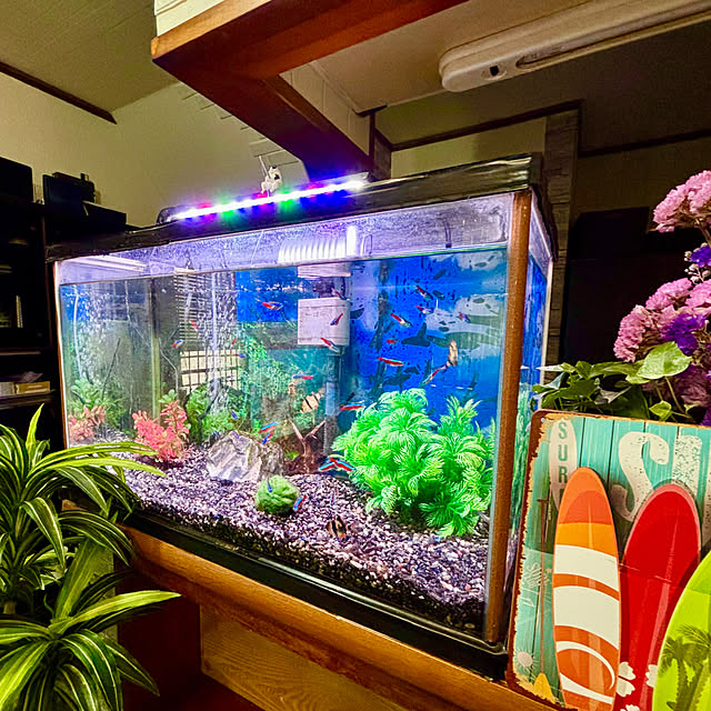 tututu0204さんの部屋