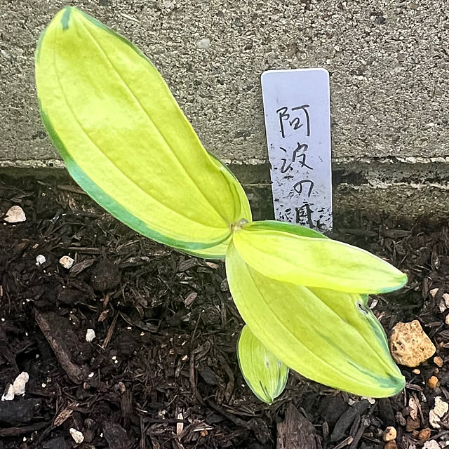 hinamamaさんの部屋