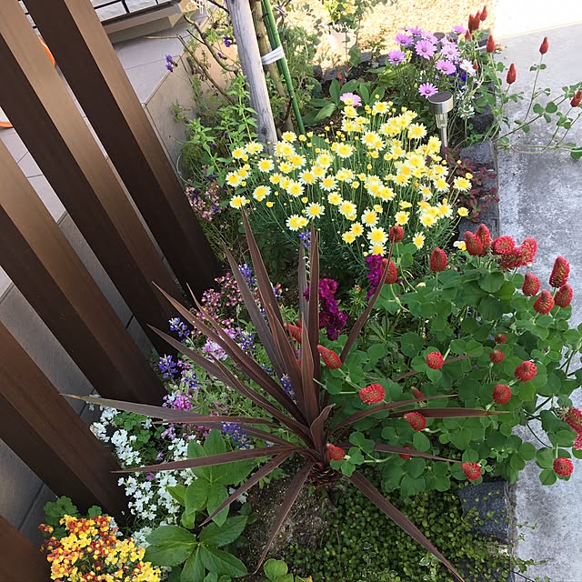 nakariさんの実例写真