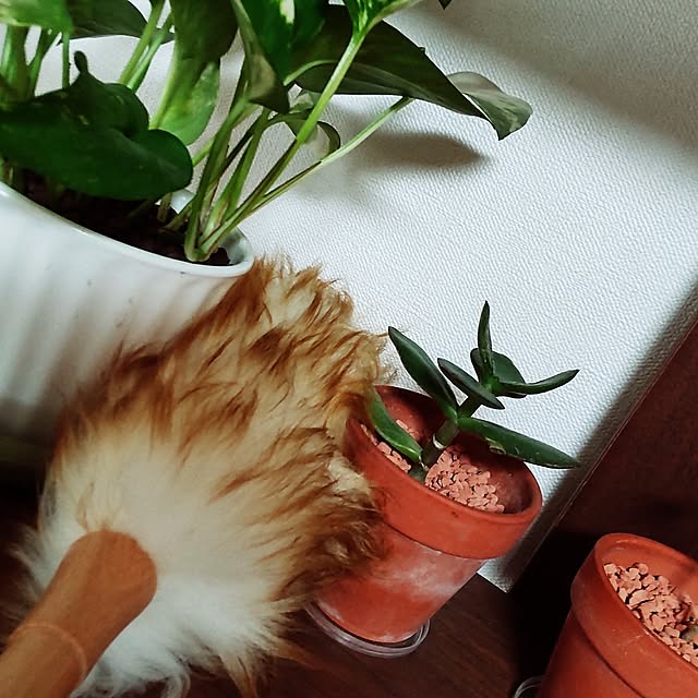 haniwaさんの部屋