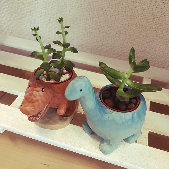 taro..nupiさんの実例写真