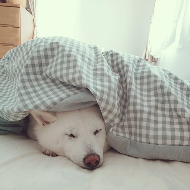 yukinkoさんの実例写真