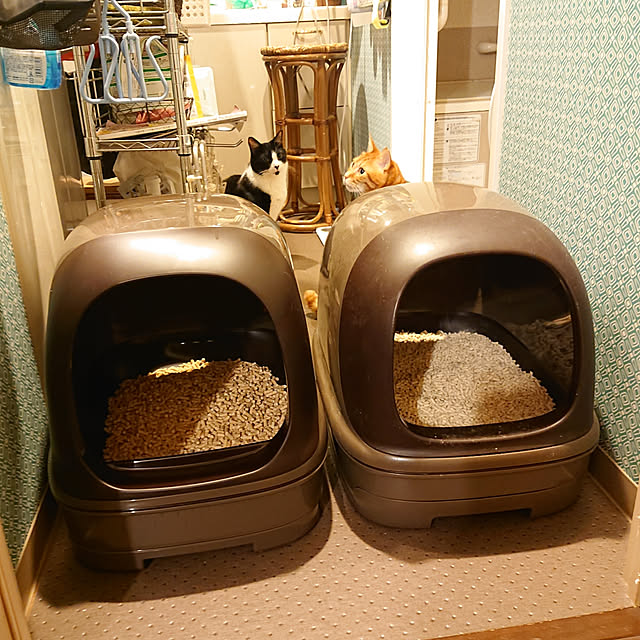 okyosan101さんの実例写真