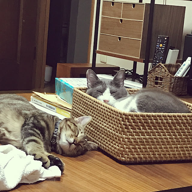 hacchiさんの実例写真