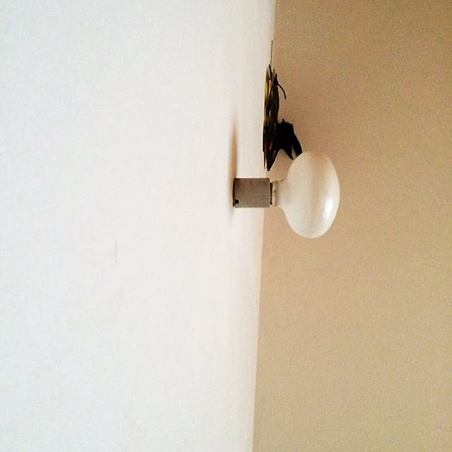 mieruさんの実例写真