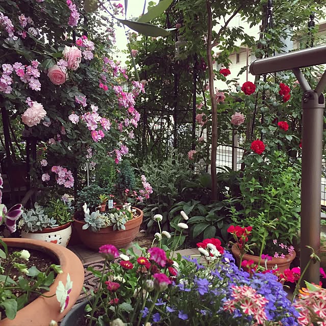 m.h.mammyさんの実例写真