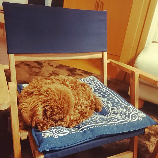 alohaさんの実例写真