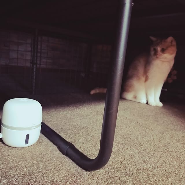 kobakissaさんの部屋
