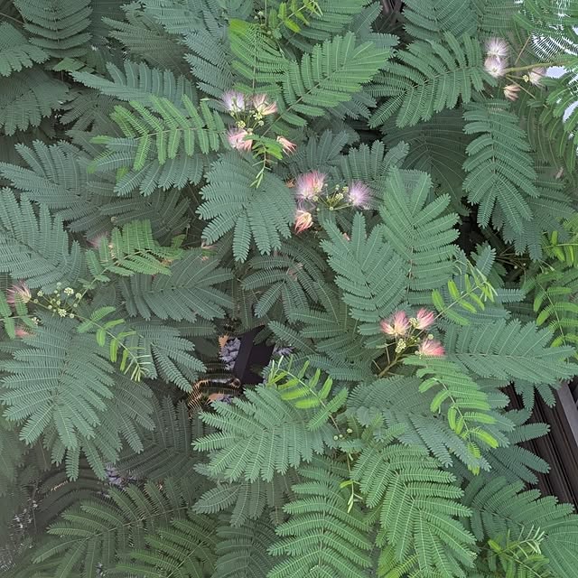 non_ko..さんの部屋