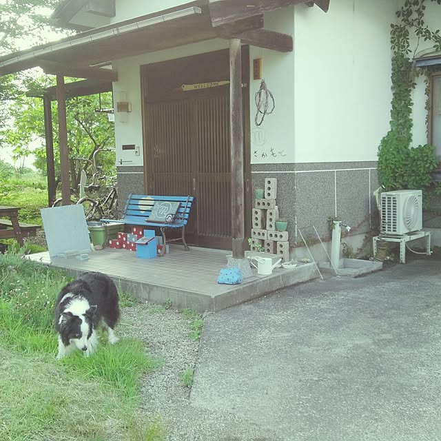 Medetasiさんの実例写真