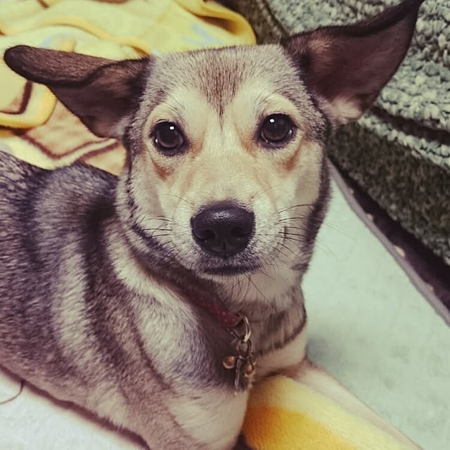 andさんの実例写真