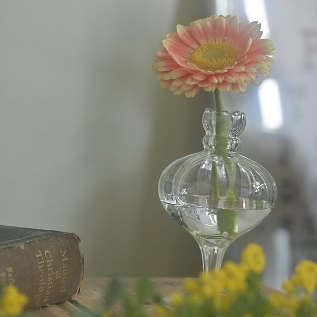 CYNOSさんの実例写真