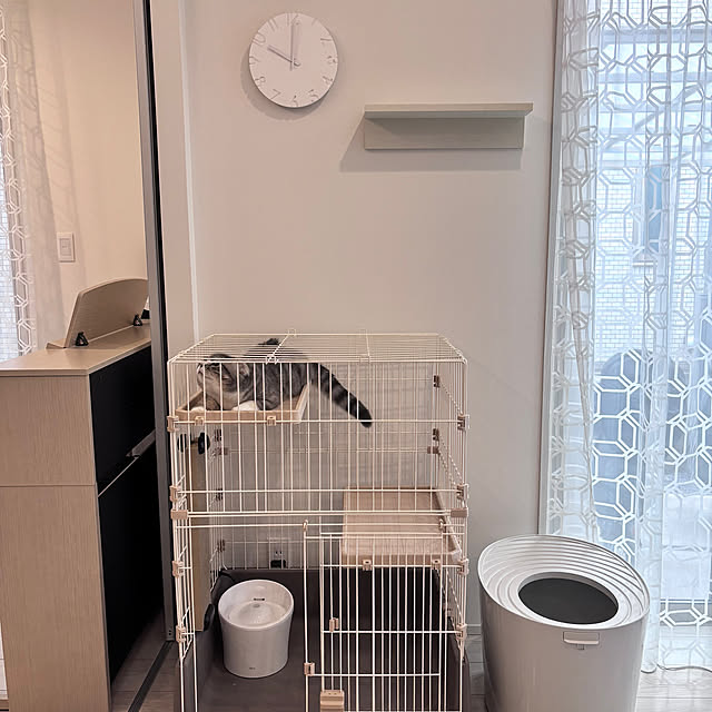 kikujiroさんの実例写真