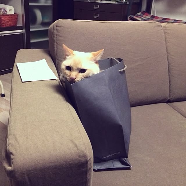 bobooooonさんの実例写真