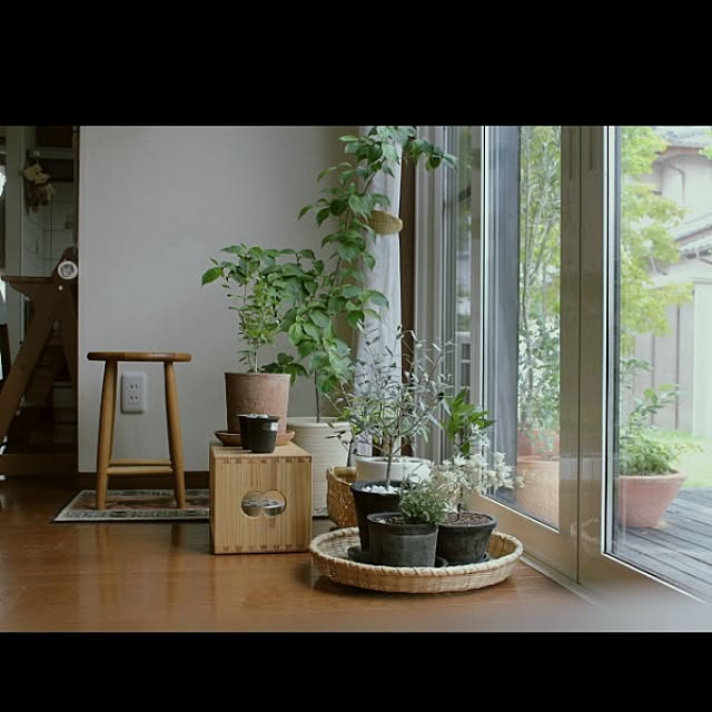 観葉植物/花/窓/ざる/和...などのインテリア実例 - 2015-06-20 22:46:52