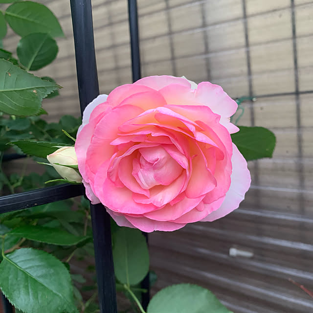 nannoさんの実例写真