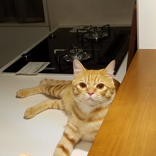 C.Tさんの実例写真