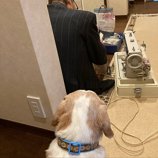 chouchouさんの実例写真