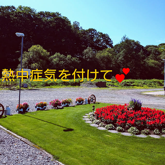 ree.yoshi-1001さんの実例写真