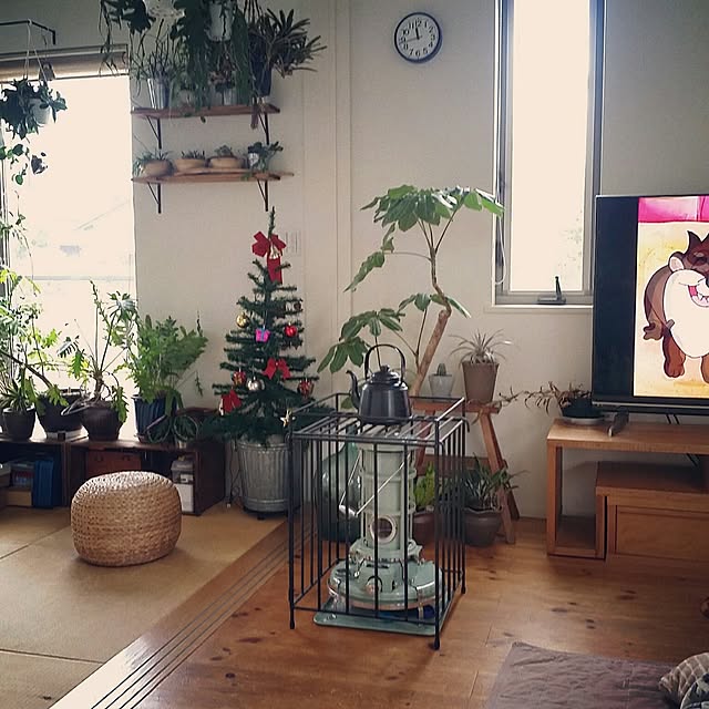kuuuuさんの実例写真