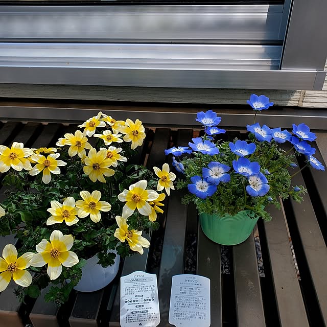 tokkiさんの部屋