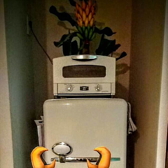 hidemomさんの実例写真