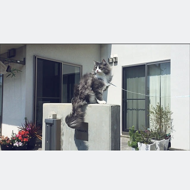emさんの実例写真