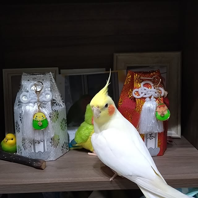 toratanさんの部屋