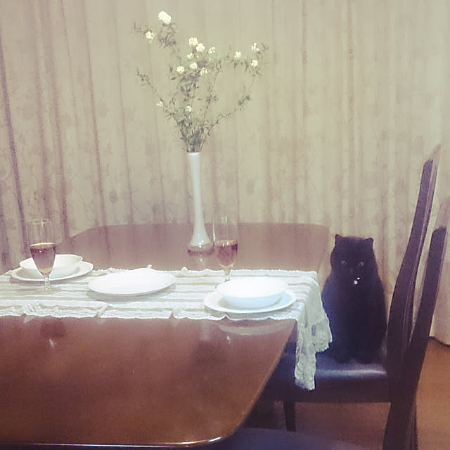 junkn6さんの実例写真