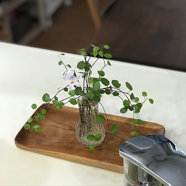 cometさんの実例写真