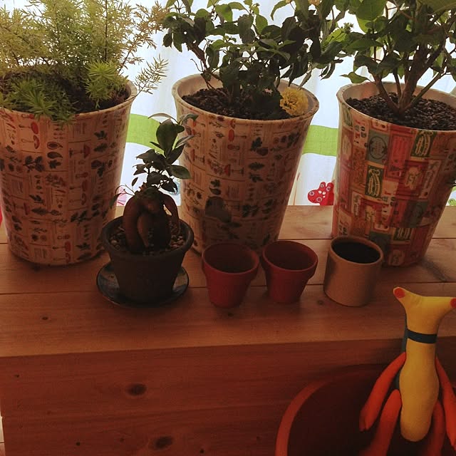 maimaiさんの実例写真