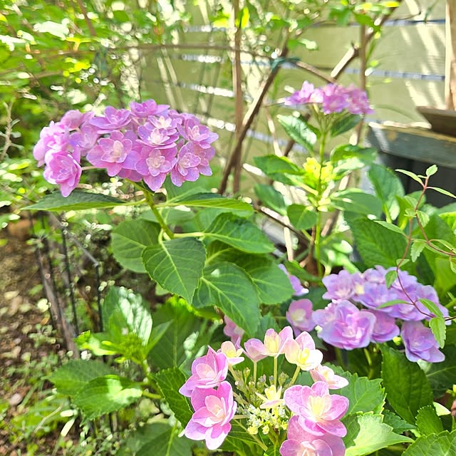 min_nimさんの部屋