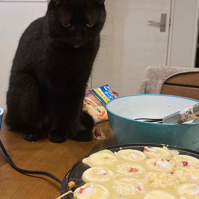 okapiさんの部屋