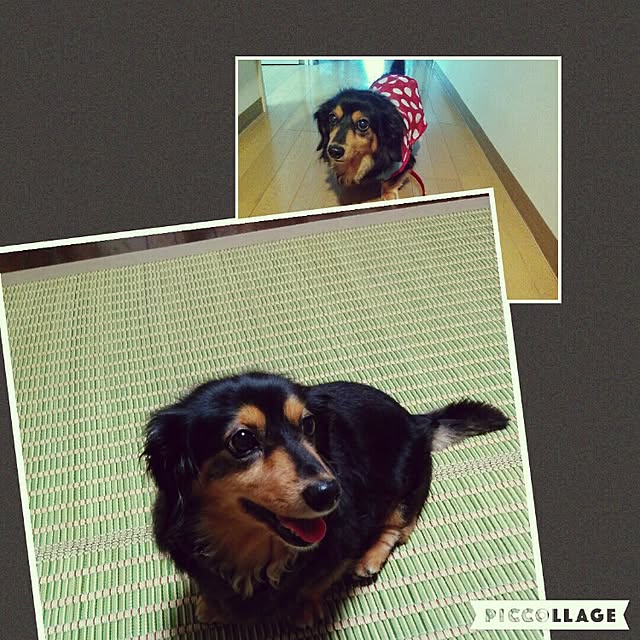 mayuさんの実例写真