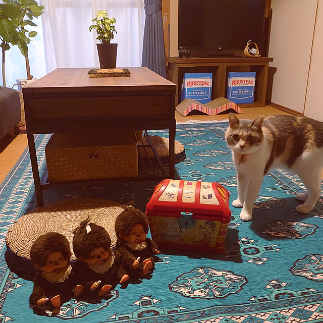fukuさんの実例写真