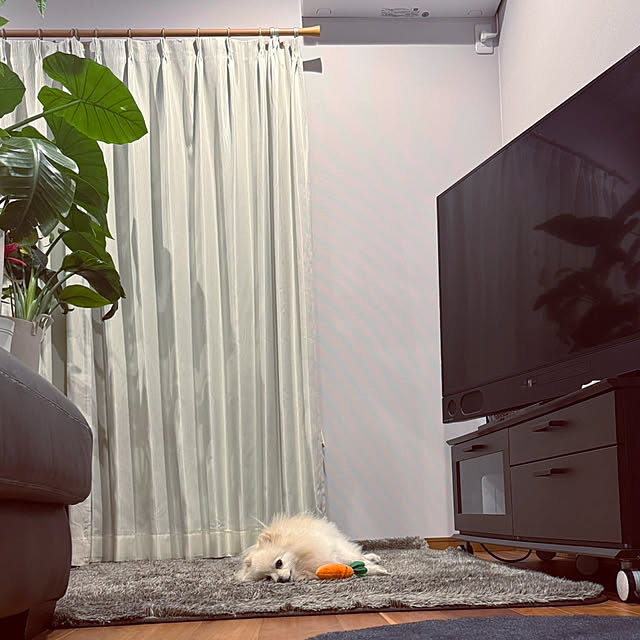 1546さんの実例写真