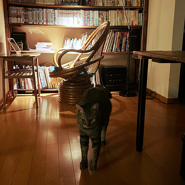 mikan161さんの部屋