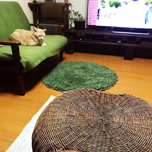 mikan161さんの実例写真